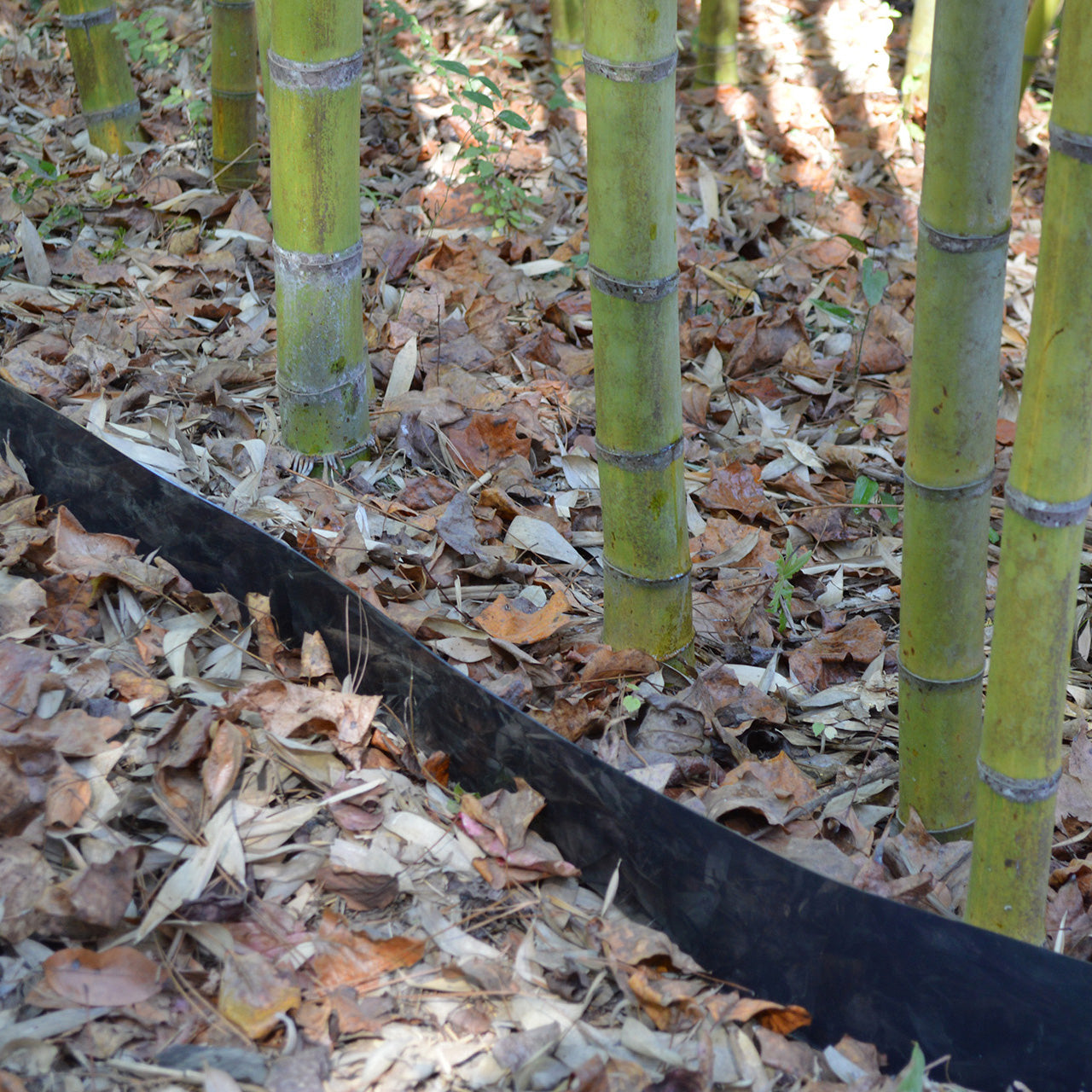 Bamboo Shield for Colder Climates – 60 mil thick x 24″ depth